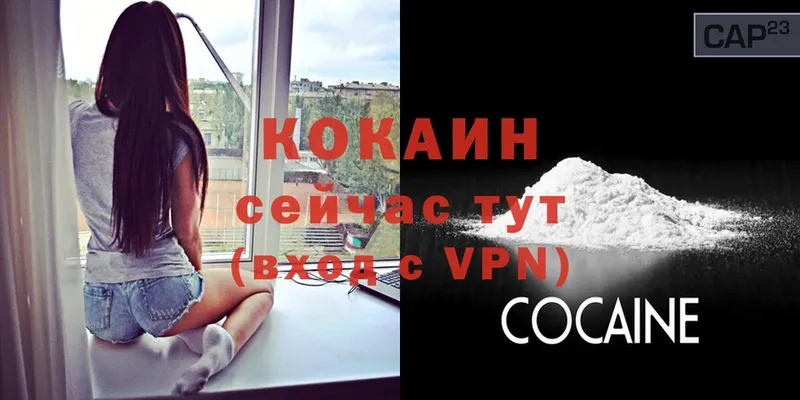 COCAIN Перу  Камышлов 